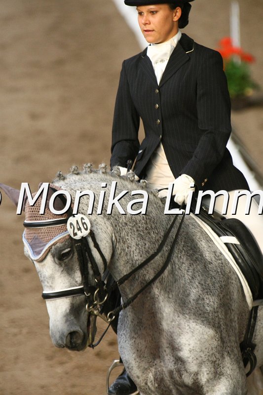 109L8618_Lett_Lovely Emotion_L Dressur.JPG